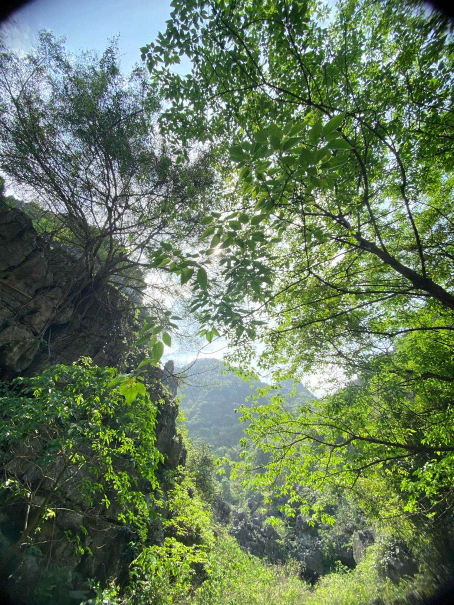 Tam Coc Moutainside Homestay Ninh Binh Exterior foto